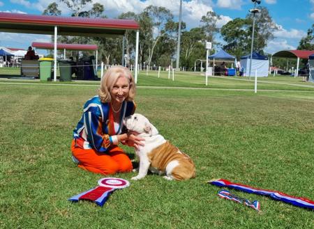 British Bulldog for sale by EMBOLDEN