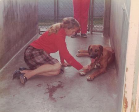 Rhodesian Ridgeback for sale by VISHALAH