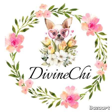 Chihuahua (Smooth Coat) for sale by DIVINECHI