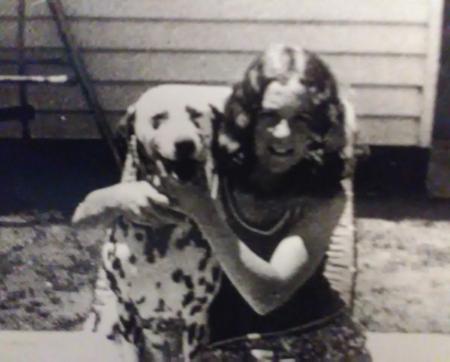 Dalmatian for sale by DALCOACH