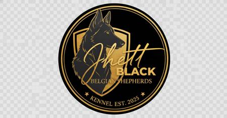 Belgian Shepherd Dog (Tervueren) for sale by JHETTBLACK