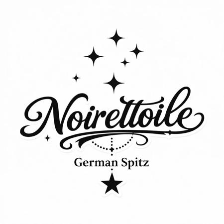 German Spitz (Mittel) for sale by FLUFFYPOTATOES