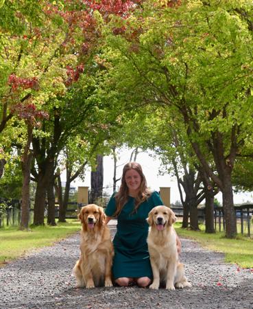 Golden Retriever for sale by TWEEDKIN