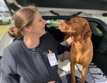 Hungarian Vizsla for sale by GOLDSTAUB