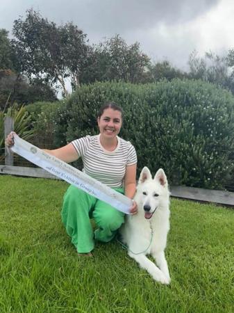 White Swiss Shepherd Dog for sale by KATIEDAVIS
