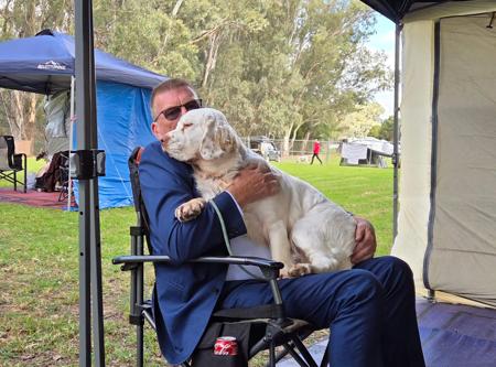 Clumber Spaniel for sale by KELTONHILL
