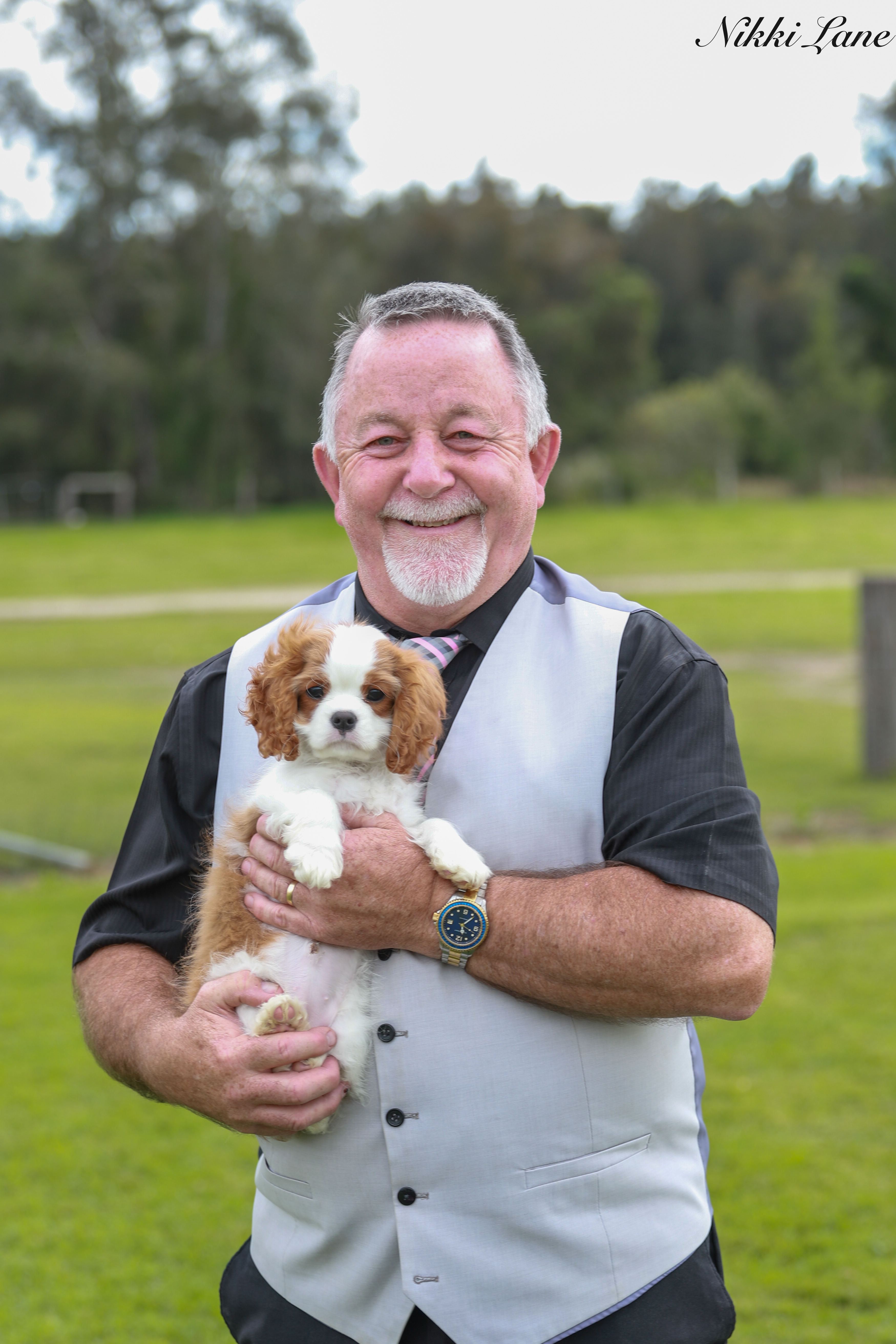 Cavalierlove Sweeps The Stage Cavalier King Charles Spaniel