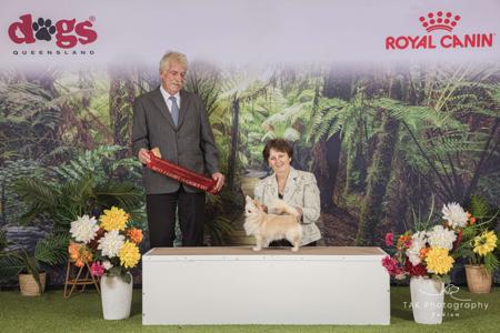 Click to view more details