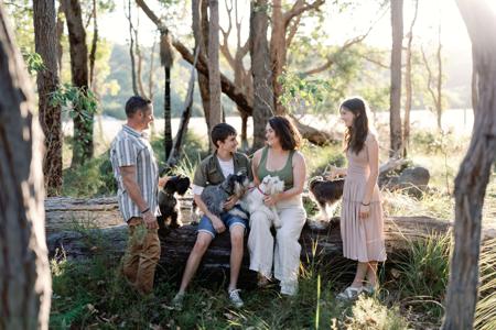 Schnauzer (Miniature) puppy for sale by SEMELLEROUGE