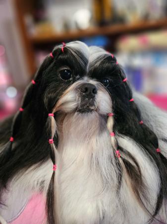 Click to view more details