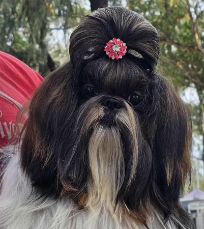 Click to view more details