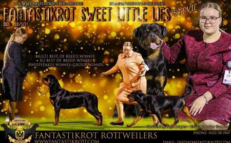 Rottweiler for sale by FANTASTIKROT