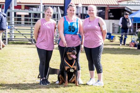 Rottweiler for sale by FANTASTIKROT