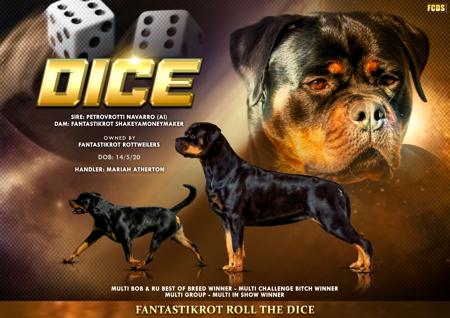 Rottweiler for sale by FANTASTIKROT