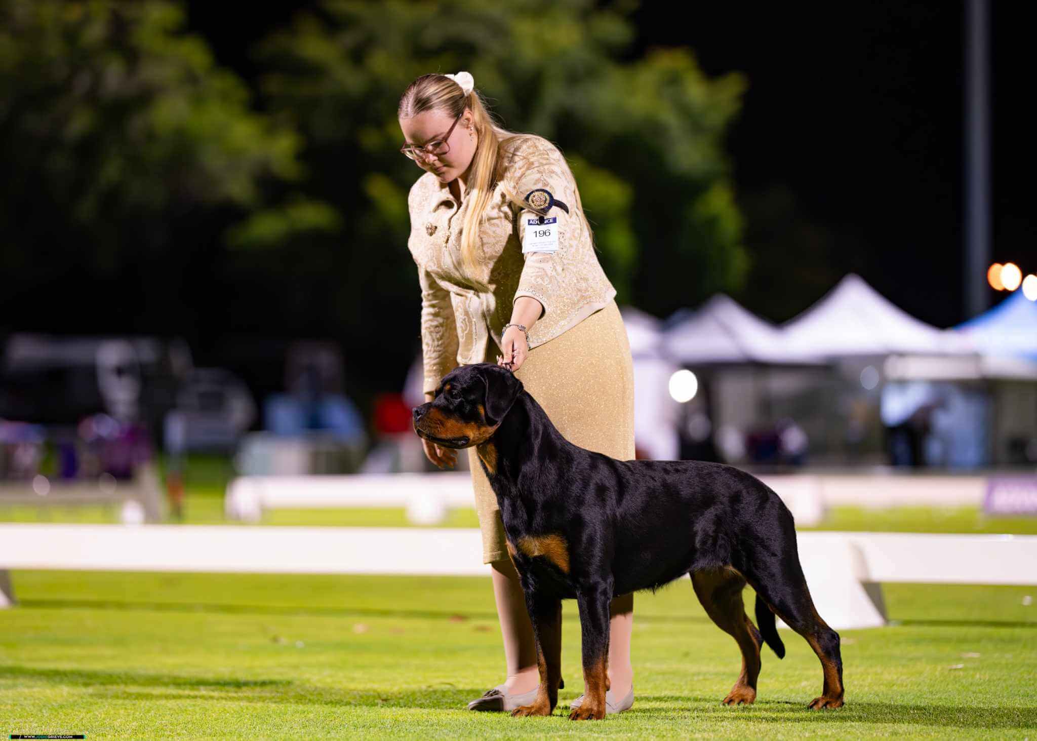 Serbie Rottweiler AUST CH Montana Of Torma House (Import Serbia) Rottweiler - Owned by ...