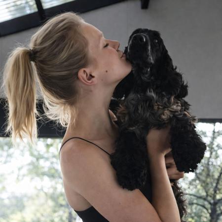 Cocker Spaniel for sale by KIRACADE