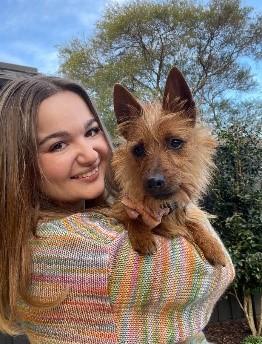 Australian Terrier for sale by TRUAUSSIE