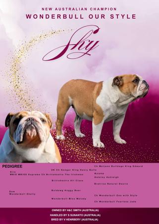 British Bulldog for sale by SNATOS