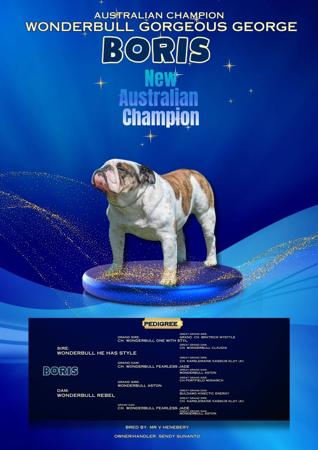 British Bulldog for sale by SNATOS