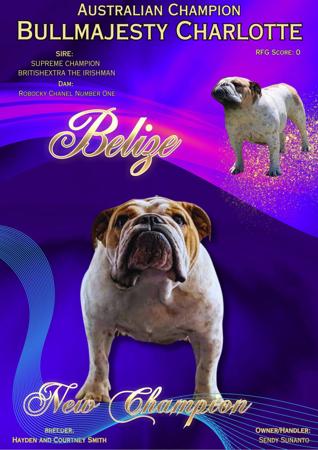 British Bulldog for sale by SNATOS
