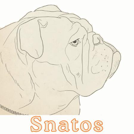 British Bulldog for sale by SENDMEISTER