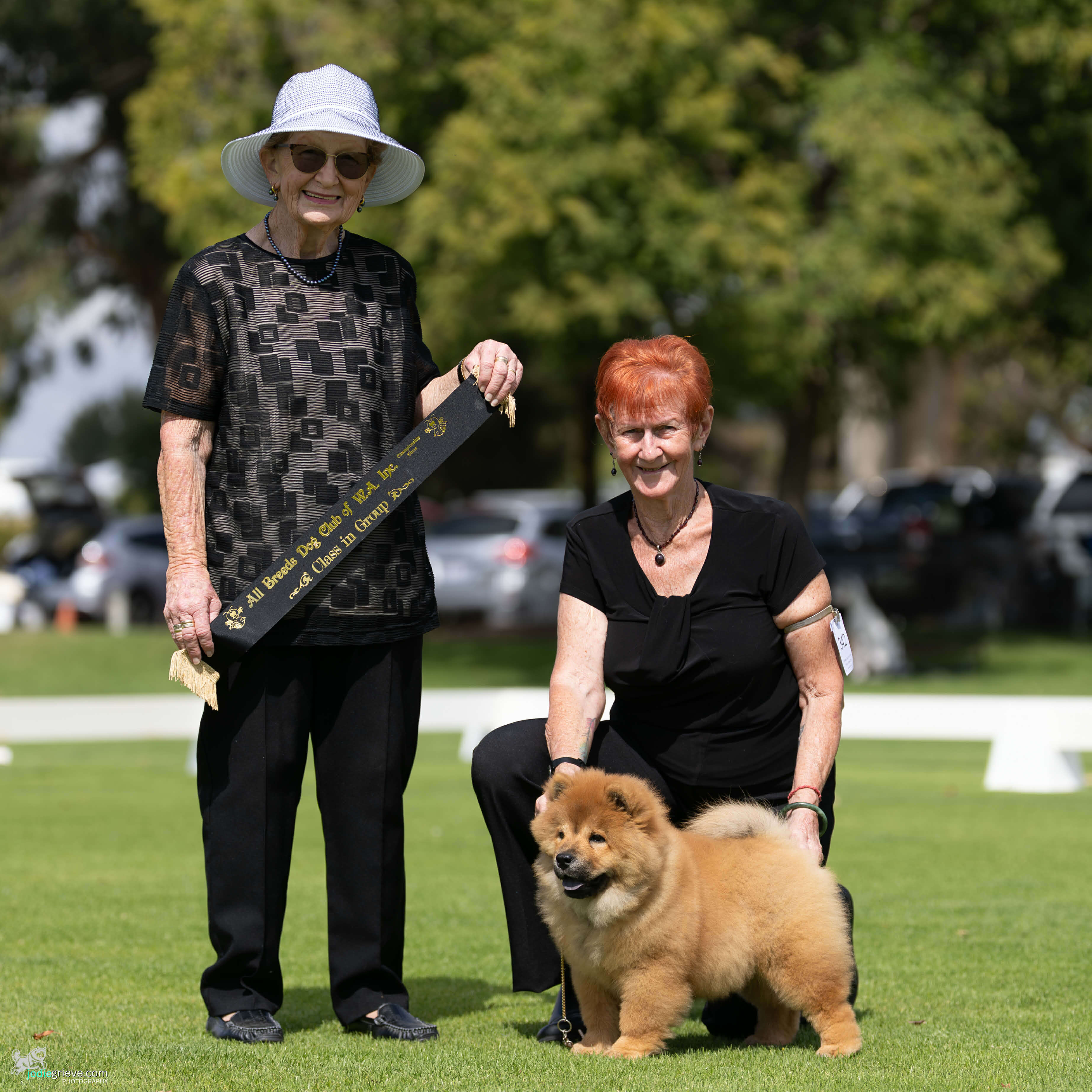 Sherae Ruby Reds Xmas Teddy Chow Chow - Owned by Sherae Kennels & J ...