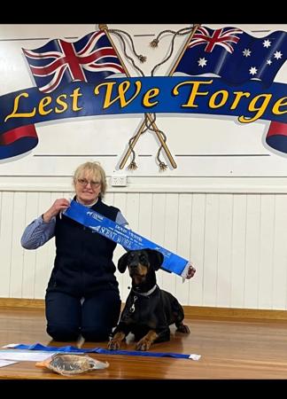 Dobermann for sale by AUSTGEM