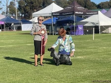 Click to view more details