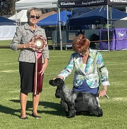 Click to view more details