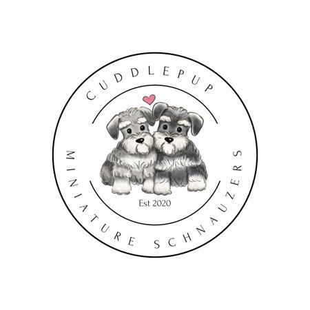 Schnauzer (Miniature) for sale by CUDDLEPUP