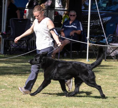 Click to view more details