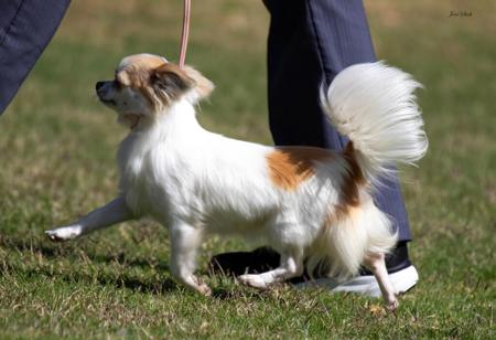 Click to view more details