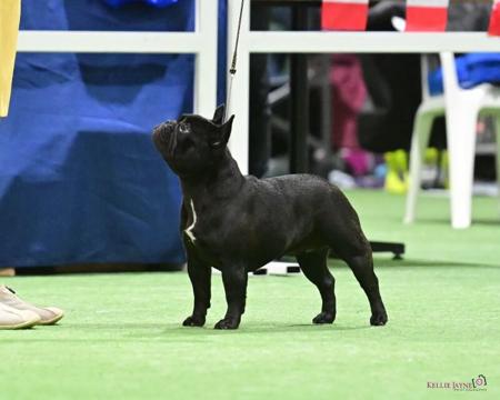 Click to view more details