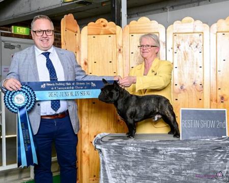 Click to view more details