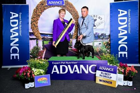 Click to view more details