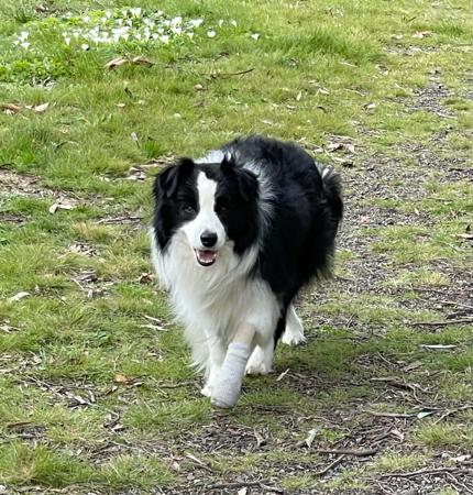 Click to view more details