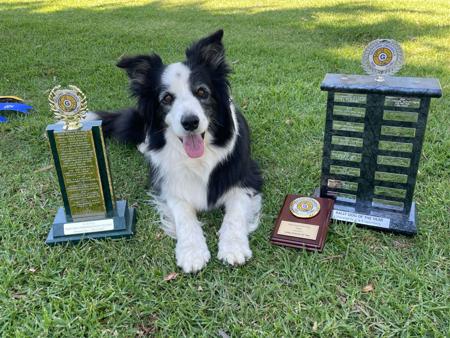 Click to view more details