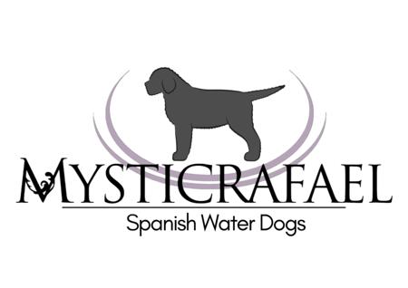 Spanish Water Dog for sale by MYSTICRAFAEL