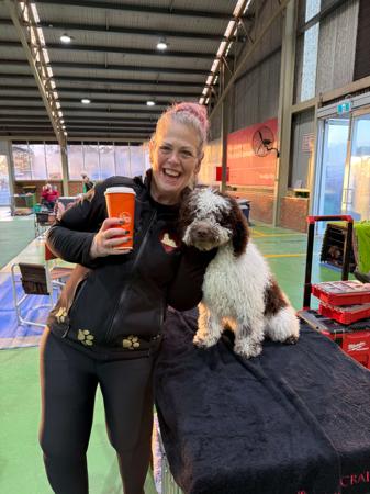 Spanish Water Dog for sale by MYSTICRAFAEL