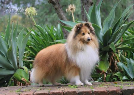 Click to view more details