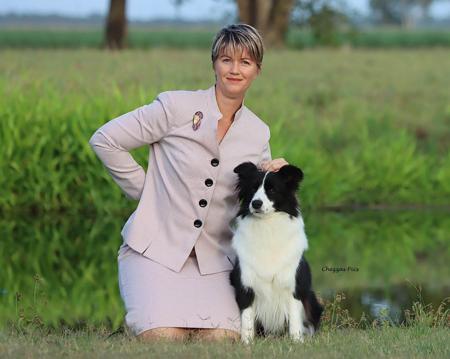 Border Collie for sale by SARADALE