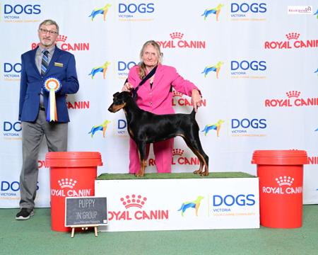 Click to view more details