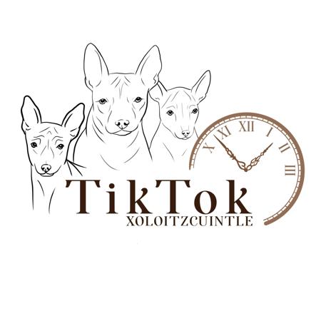 Peruvian Hairless Dog (Large) for sale by TIKTOK
