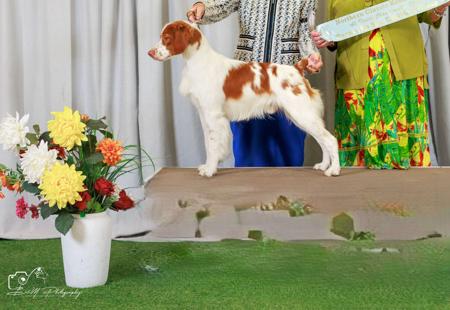 Click to view more details