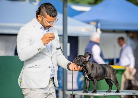 Click to view more details