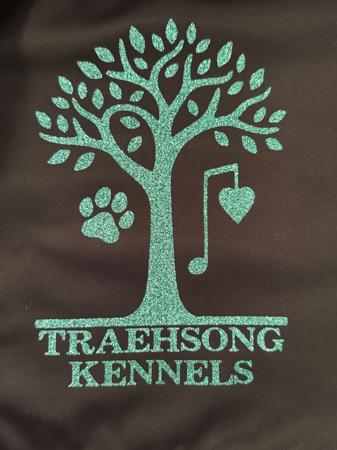 Cavalier King Charles Spaniel for sale by PWINDLOW