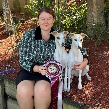 Whippet for sale by SOLTAE