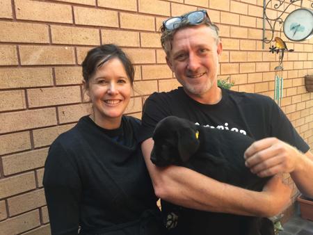 Labrador Retriever for sale by PENGELLO