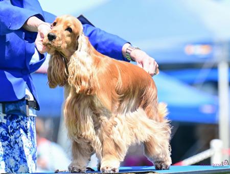 Click to view more details