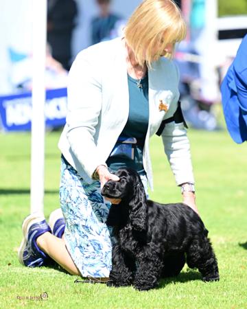 Click to view more details